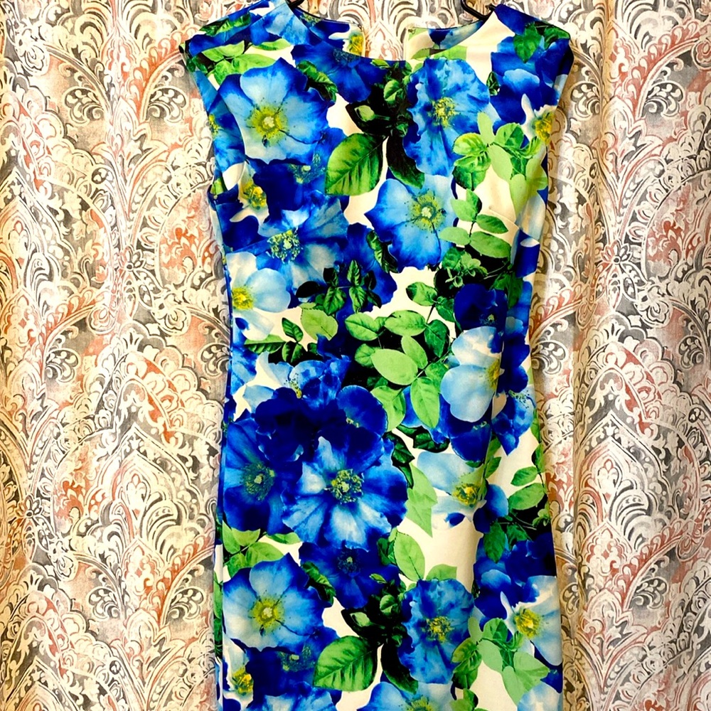 The length blue floral dress
